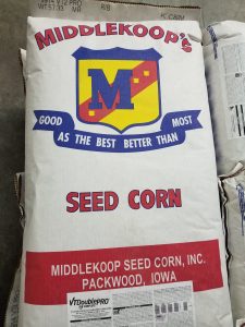 Seed Corn